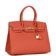 Hermes Birkin 30 Sellier Terre Battue Epsom Gold Hardware For Discount