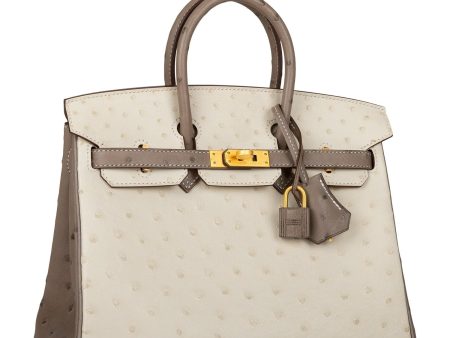 Hermes Birkin 25 Beton and Gris Asphalte Ostrich Brushed Gold Hardware Cheap