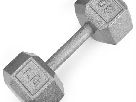 30lb Cast Iron Hex Dumbbell For Discount