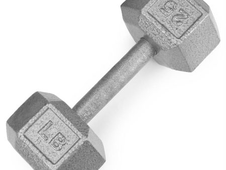 25lb Cast Iron Hex Dumbbell Cheap