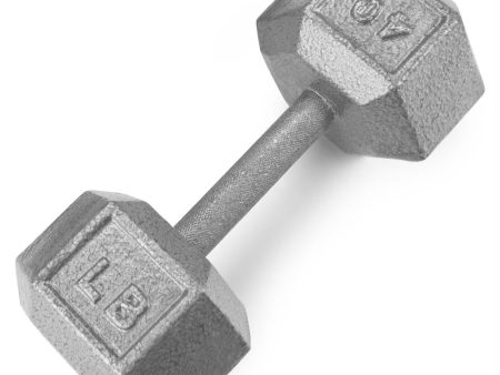 40lb Cast Iron Hex Dumbbell For Sale