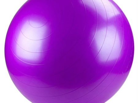 75cm Purple Exercise Ball with Foot Pump Discount