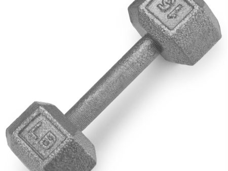 15lb Cast Iron Hex Dumbbell on Sale