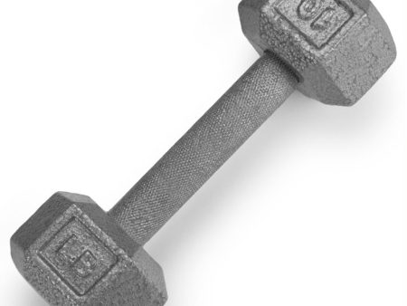 10lb Cast Iron Hex Dumbbell Hot on Sale